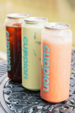 330ml fully transparent PET Cups (100% Recyclable)